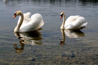 fotka uživatele zPoodri