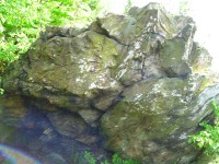  Pozůstatky skalek zaniklé osady Ferdinandov u Rýmařova