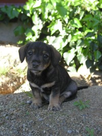 fotka uživatele mamcula