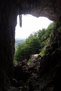 Pohled z jeskyně ven.