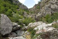 Koryto téměř vyschlého potoka.