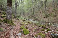 Hobitín, kde se cesta tak lehce ztrácí.