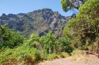 Pico Ruivo z údolí.