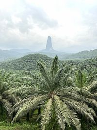 Pico de Sao Tomé nejvyšší hora Sv. Tomáše