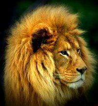 fotka uživatele luposi