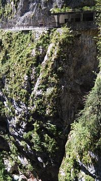 Pohled z mostu Tolmin gorge