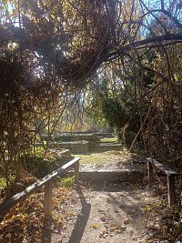 Z hotelu Bobio pěšky k Paulínskému klášteru a na rozhlednu