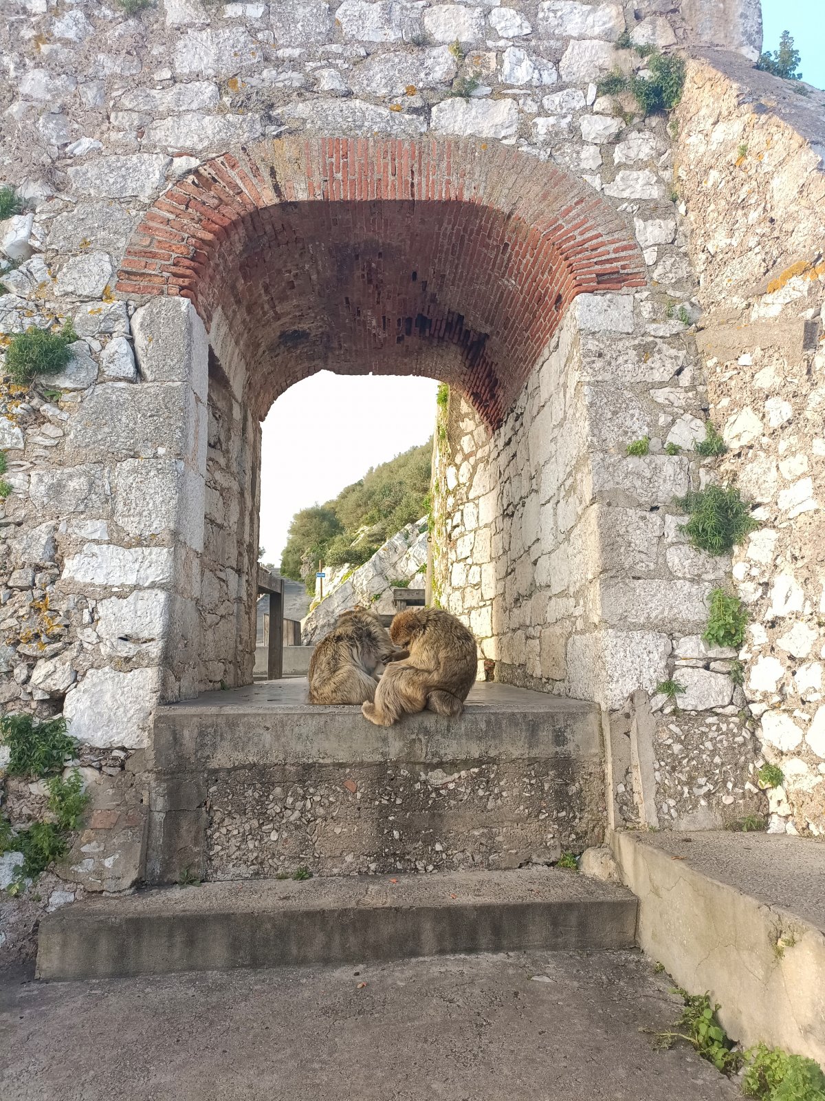 Gibraltar- Podvečerní procházka ke krmné stanici opic a ranní Europa Point Lighthouse