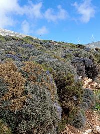 Rhodos-  3, klášter Iera Moni Artamiti, hora Attavyros