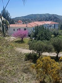 Koleje pro studenty a zázemí mnichů