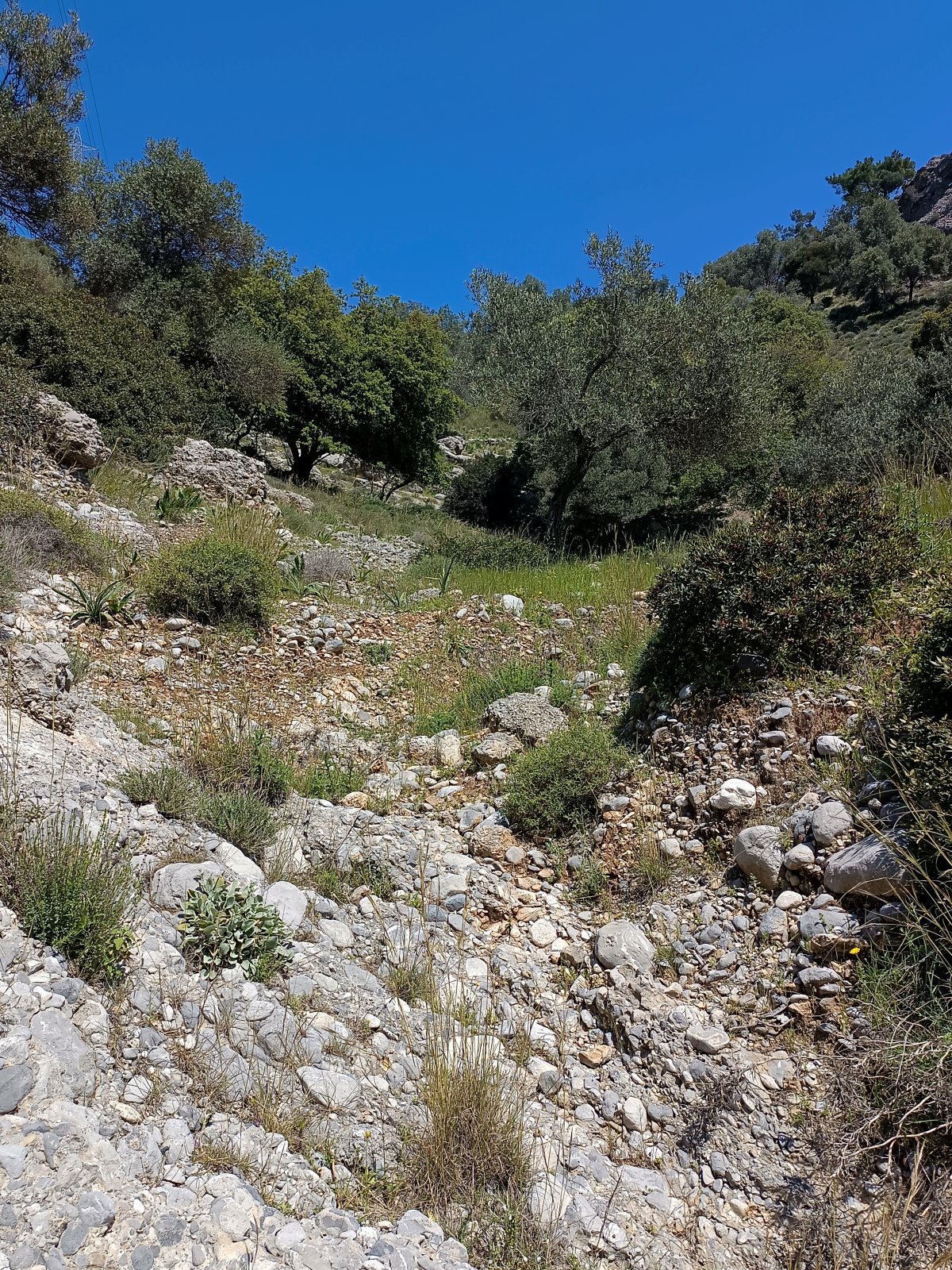 Rhodos- 16, korytem řeky Skatouliaris, klášter Kamiri