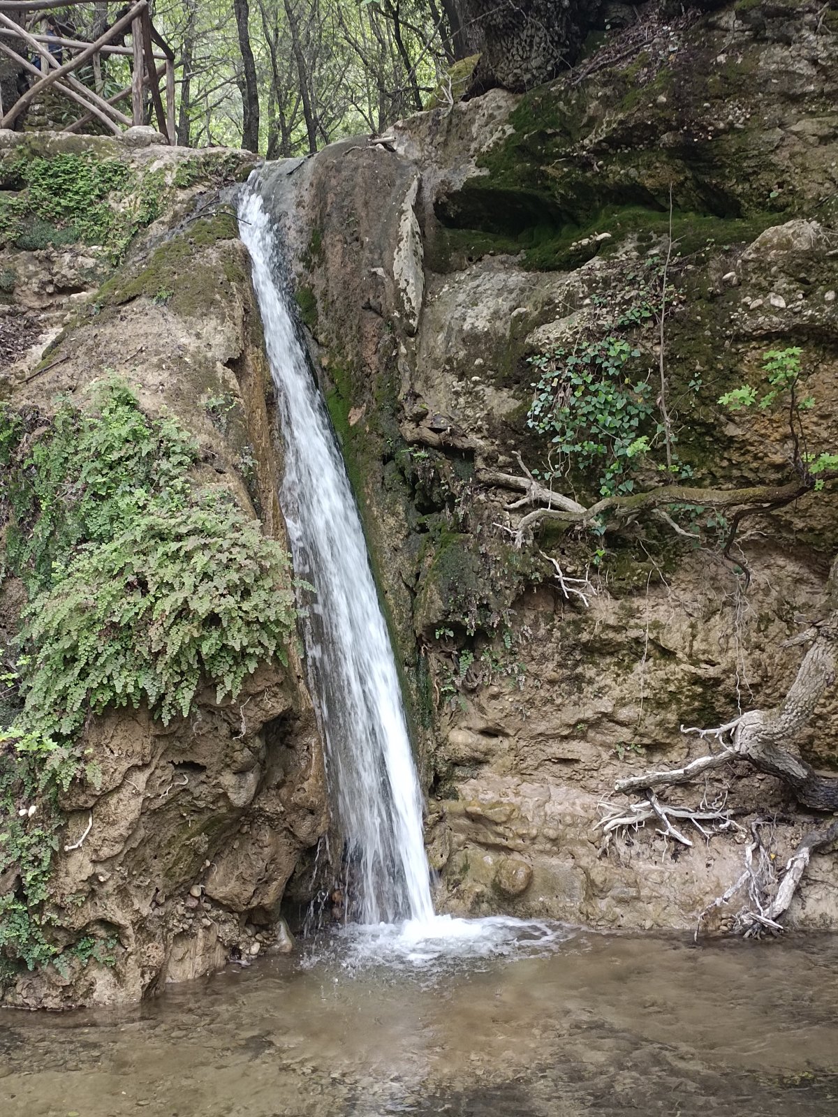 Rhodos- 21, Údolí motýlů, krabi