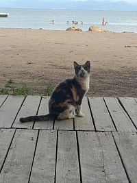 Corfu říjen- 21. Benitses, Messonghi- pláže