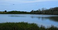 Jezero Plazė, oblíbená zastávka na pro migrující ptáky.