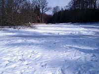 Oborský rybník v zimě.