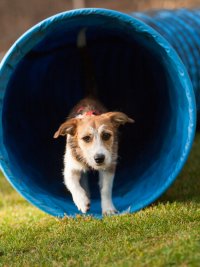 fotka uživatele HaBoBe