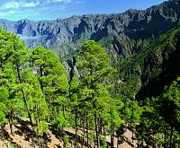 Národní park Caldera de Taburiente © Zuzana Churanová