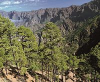 Národní park Caldera de Taburiente © Zuzana Churanová