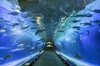 Oceanogràfic © Comunitat Valenciana