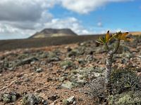 Lanzarote © Jakub Šolc / Ivo Fikrle