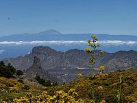 Gran Canaria © Jakub Šolc / Ivo Fikrle
