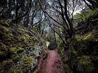La Gomera © Jakub Šolc / Ivo Fikrle