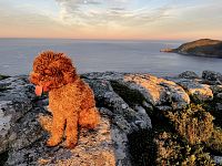 Cesta se psem v obytňáku © Aneta Malková