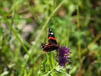 Sninské rybníky cez Sninský kameň