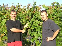 Vinařství Koráb – vína starých vinic