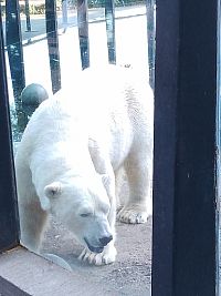 ZOO PRAHA