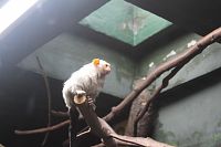 ZOO OLOMOUC