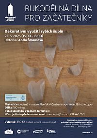 Rukodělné dílny pro začátečníky: Dekorativní využití rybích šupin