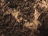 Jeskyně Aggtelék Báradla