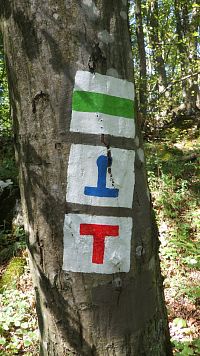 Kromě stezek s pruhem zde některé trasy mají jiné symboly, téčka, obrácená téčka, křížky, trojúhelníky - takže sledovat nejen barvu, ale i tvar. Zkušenost - dobře udržované jsou "pruhované" stezky.  Pokud je tvar jiný, tak je to občas cesta-necesta