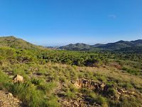 Vnitrozemí - krajina po rekultivaci