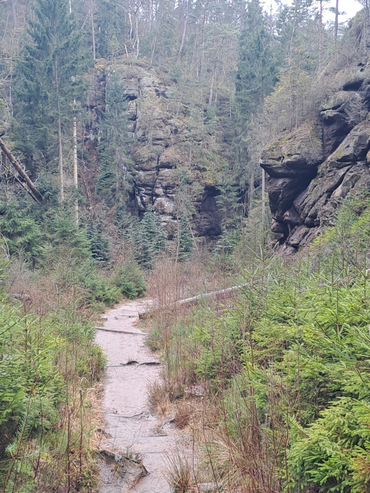 soutěska Schiesgrund