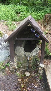 Studánka nad Gutštokem