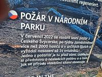 Detail v češtině