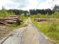 Habsburg - Lothringen - Route.