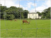 Bunratty House, nový zámek