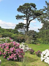 Bantry House, zahrady