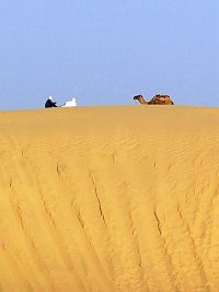 pozdrav Sahary, písečné duny na okraji Chott el-Gharsa
