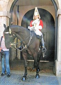 London, stráž před Horse Guards