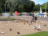 Antrim, marina v ústí řeky Six Mile Water do jezera Lough Neagh