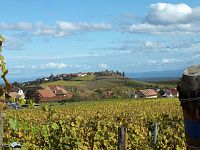 pohled na Zellenberg přes vinice od Riquewihr