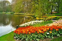 Lisse, Keukenhof