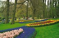 Lisse, Keukenhof