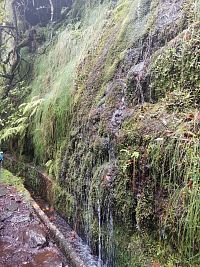 Levada  do Furado