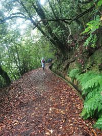 Levada Furado