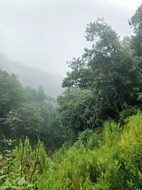 Levada Furado